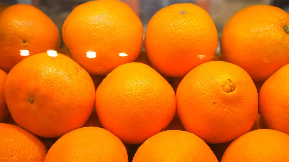 Fresh oranges for cold-pressed juice at Nova Cafe